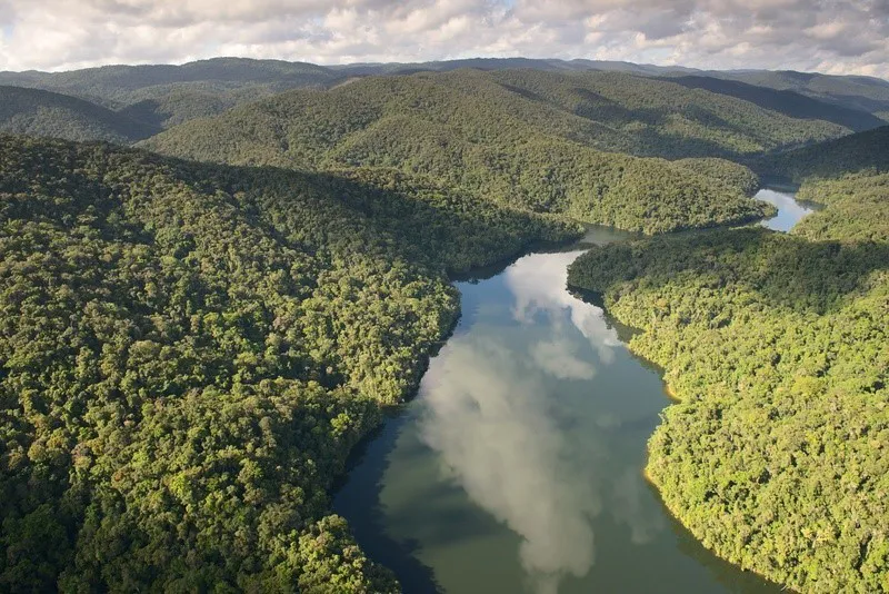  Vista aérea de rio cercado por densa floresta tropical, com reflexo das nuvens na água e cobertas de vegetação ao fundo.