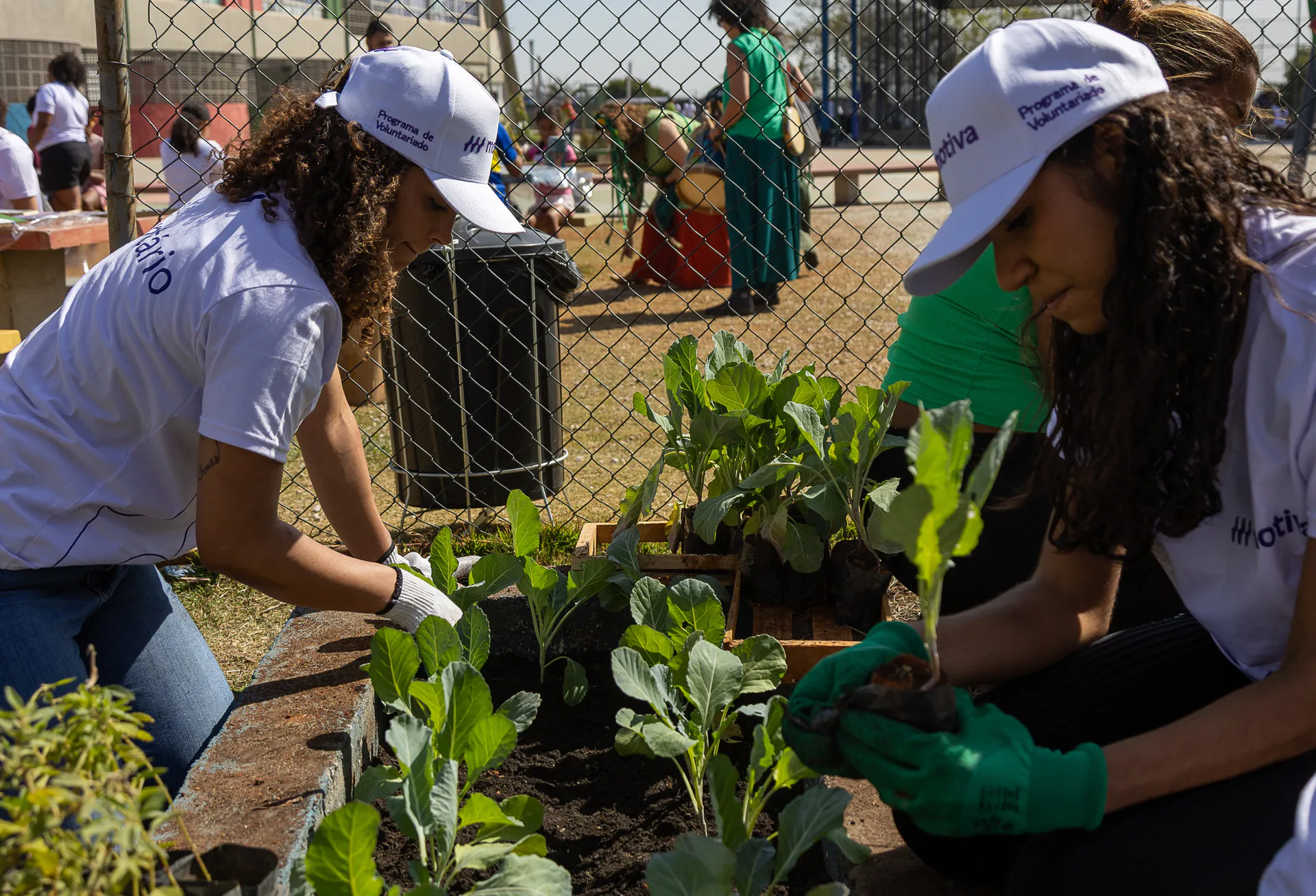 Voluntárias do Instituto Motiva plantam mudas em horta comunitária durante ação de sustentabilidade ao ar livre.