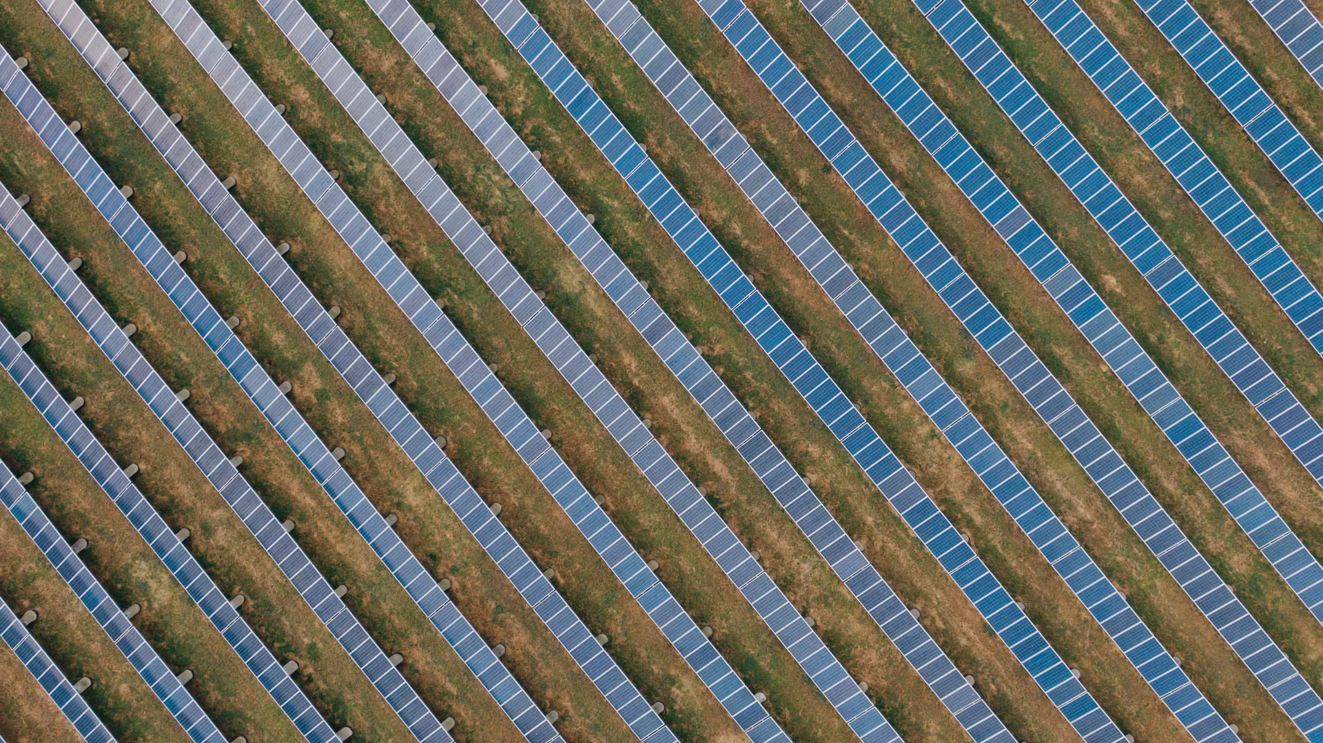 Vista aérea de diversos painéis solares em usina fotovoltaica